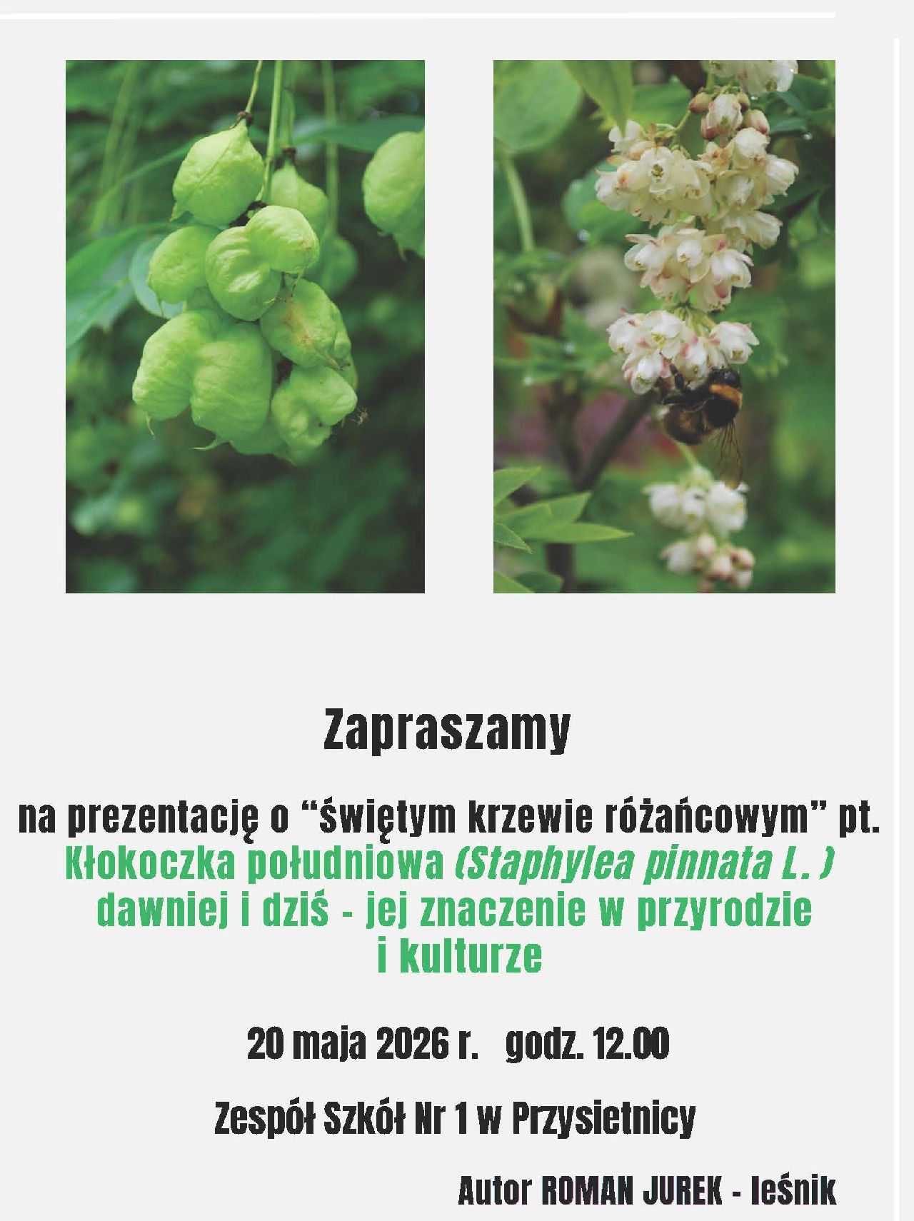 Kokoczka